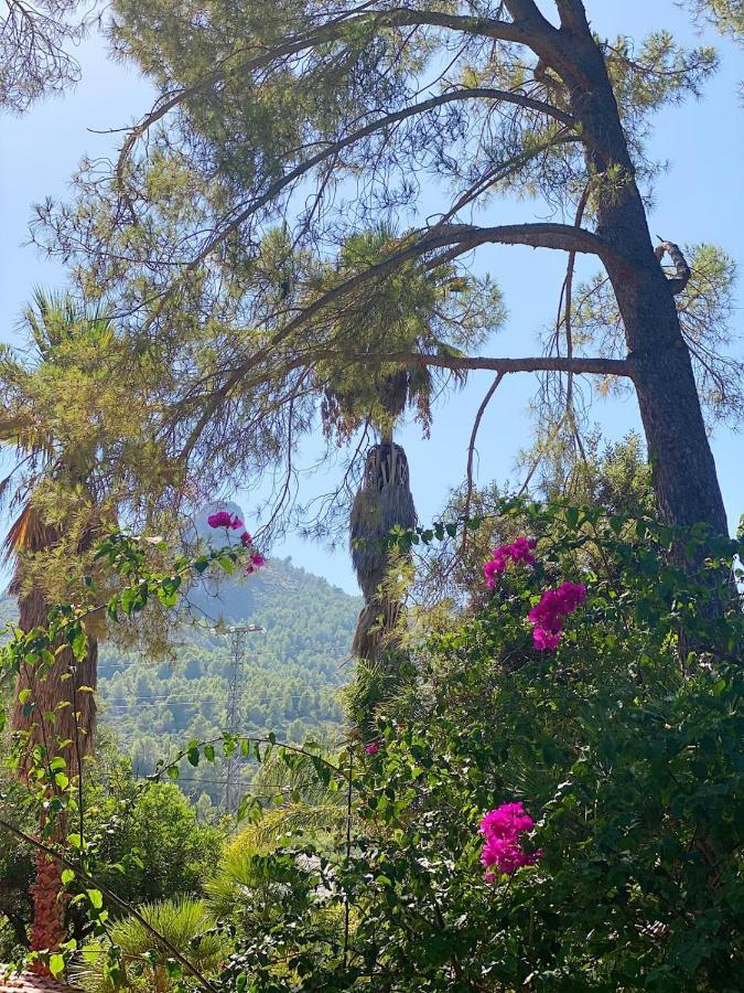 El Botanico De Sagra Exterior foto