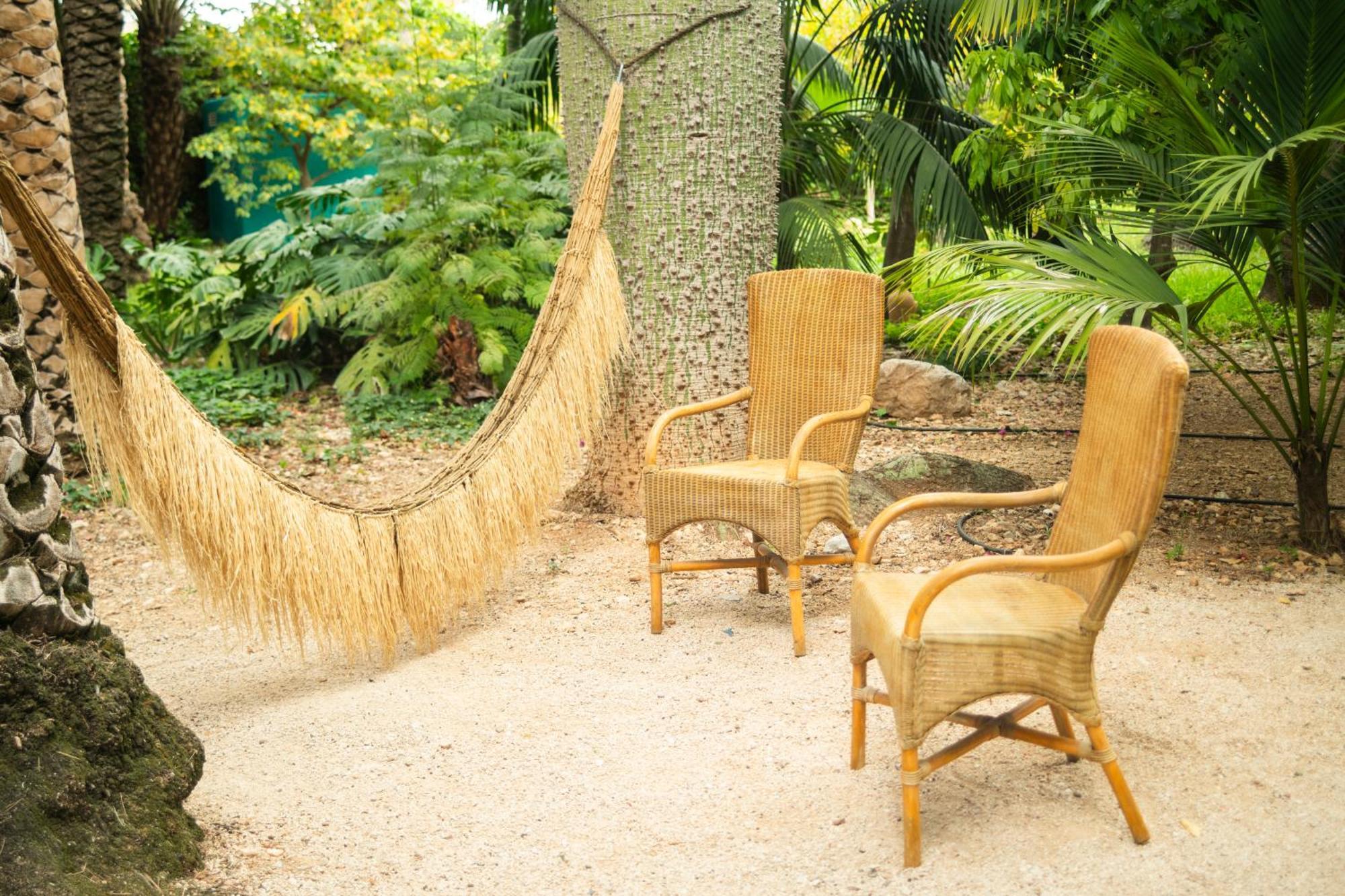 El Botanico De Sagra Exterior foto