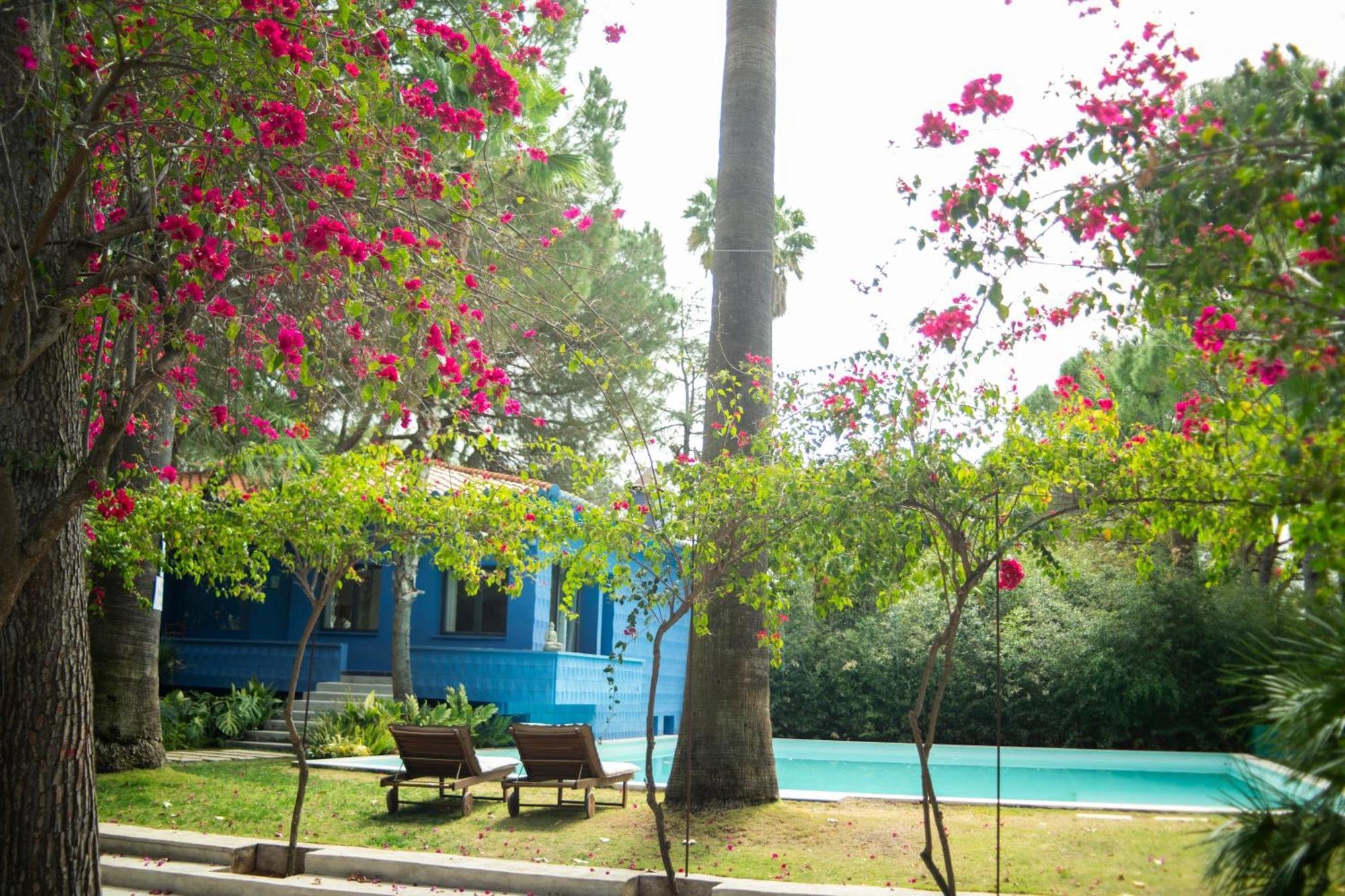 El Botanico De Sagra Exterior foto