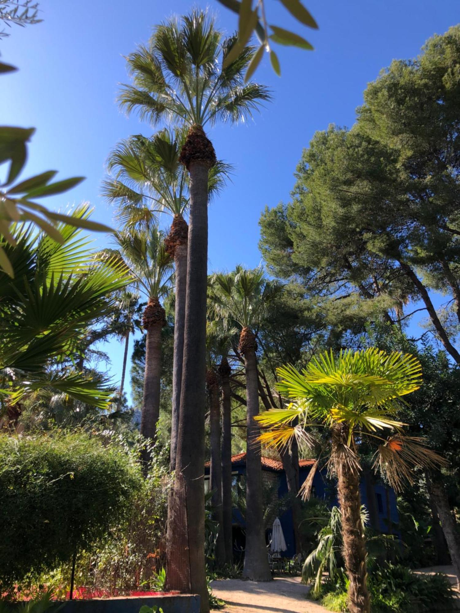 El Botanico De Sagra Exterior foto