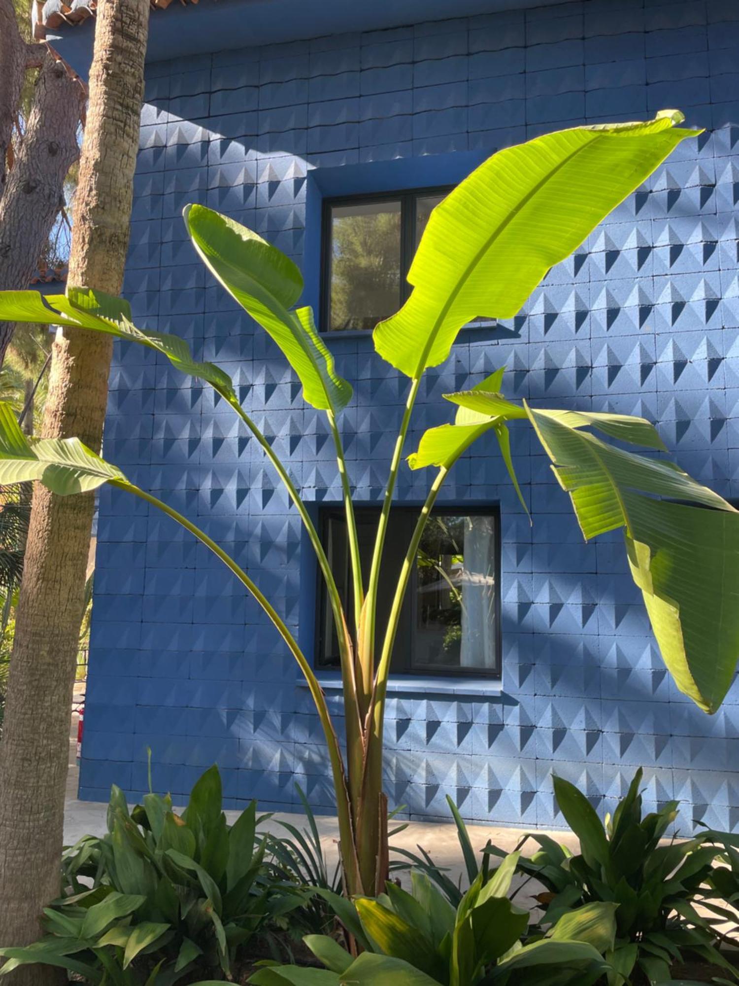 El Botanico De Sagra Exterior foto