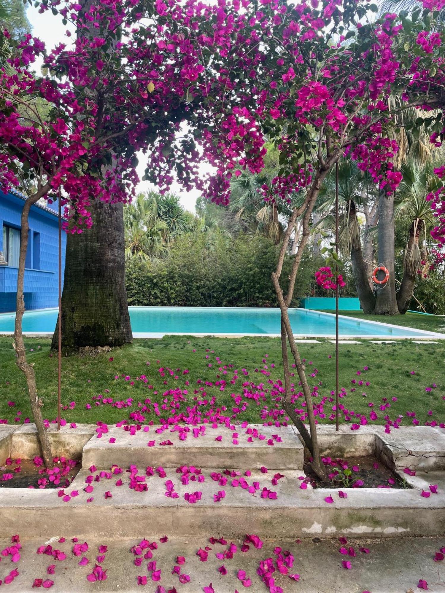 El Botanico De Sagra Exterior foto
